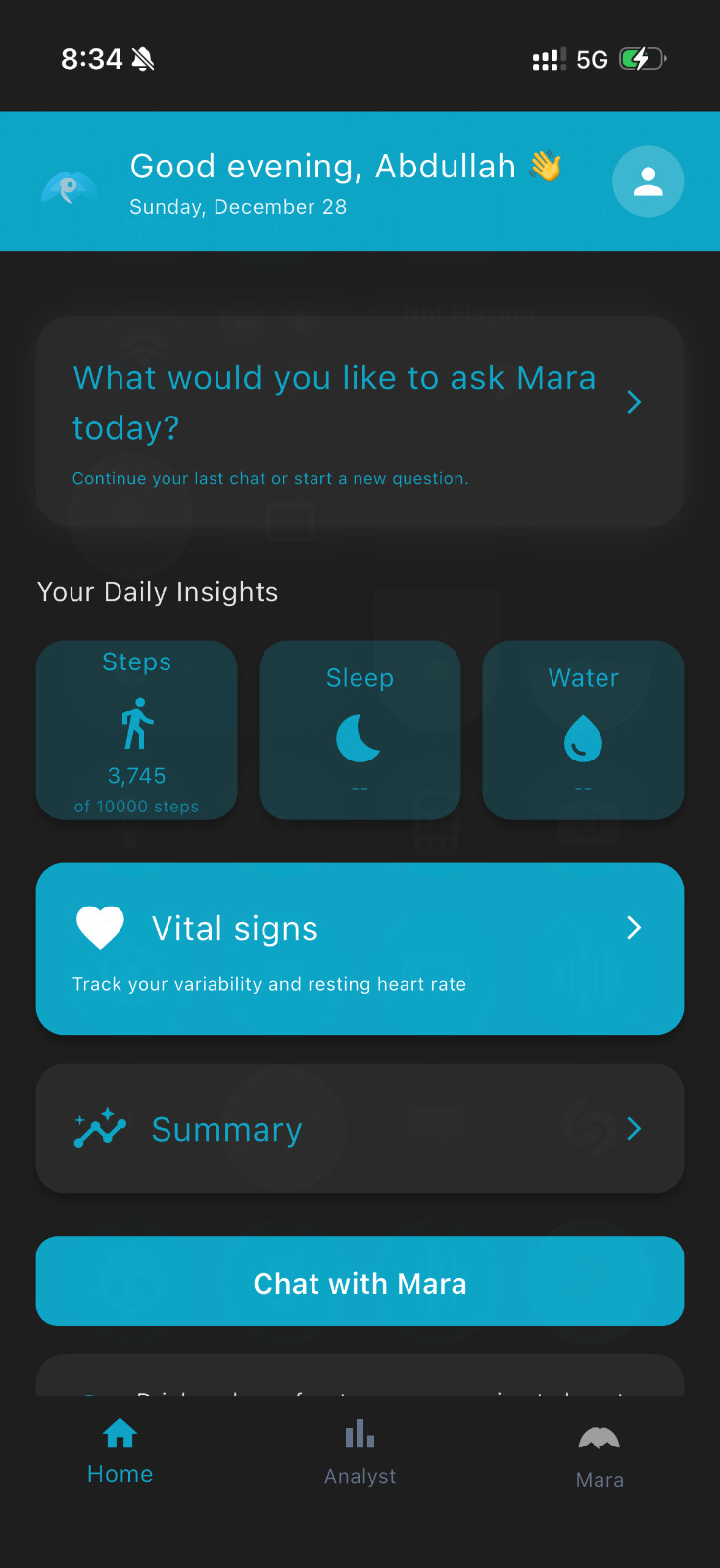 Mara Chat Interface English